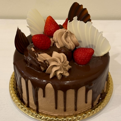 �f�U�[�g�V���R��